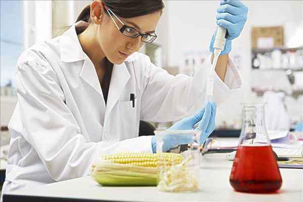 食品科學與工程專業 多元就業路徑與職業中介服務賦能